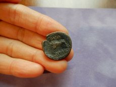 画像5: 古代ギリシャコイン　シチリア島　アクラガス　銅貨　前２８７－前２７９年　アルテミス　イノシシ　フィンティアス王の銘 (5)