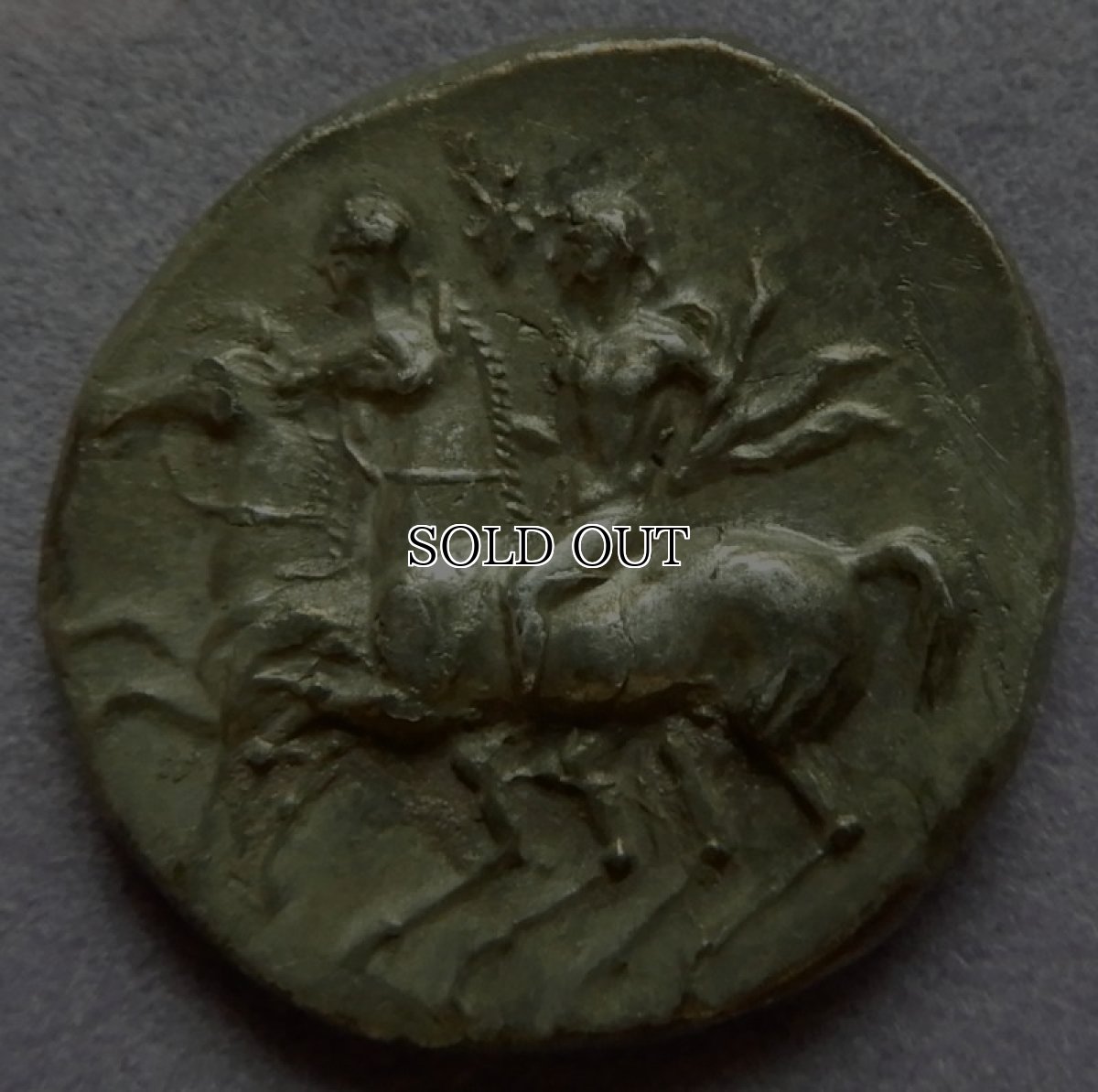 画像6: 古代ギリシャコイン(額装付き)　カラブリア地方タラス　スタテル銀貨　前２８１－前２７２年　競馬をするディオスクロイ (6)