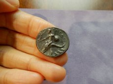 画像8: 古代ギリシャコイン(額装付き)　カラブリア地方タラス　スタテル銀貨　前２８１－前２７２年　競馬をするディオスクロイ (8)