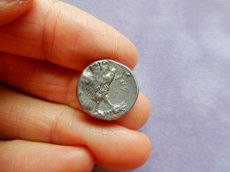 画像9: 古代ギリシャコイン(額装付き)　イタリア・カラブリア州タラス　ドラクマ銀貨　前２８１－前２７２年　スキュラの装飾兜のアテナ神　雷霆に乗るフクロウ (9)