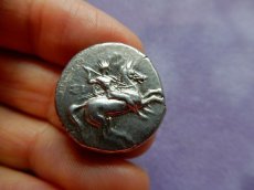 画像4: 古代ギリシャコイン　イタリア・カラブリア州タラス　スタテル銀貨　前２８１－前２７２年　イルカに乗るタラスの銀貨 (4)