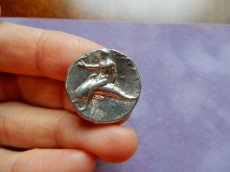 画像5: 古代ギリシャコイン　イタリア・カラブリア州タラス　スタテル銀貨　前２８１－前２７２年　イルカに乗るタラスの銀貨 (5)