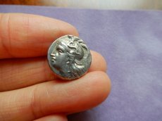 画像10: 古代ギリシャコイン(額装付き)　イタリア・カラブリア州タラス　ドラクマ銀貨　前２８１－前２７２年　スキュラの装飾兜のアテナ神　雷霆に乗るフクロウ (10)