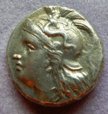画像7: 古代ギリシャコイン(額装付き)　イタリア・カラブリア州タラス　ドラクマ銀貨　前２８１－前２７２年　スキュラの装飾兜のアテナ神　雷霆に乗るフクロウ (7)