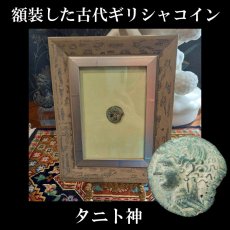 画像1: 古代ギリシャコイン(額装付き)　カルタゴ　銅貨　前２６４－前２４１年　カルタゴの守護女神タニト　馬とウラエウス (1)