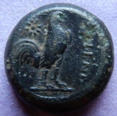 画像3: 古代ギリシャコイン　カンパニア地方　カレス　銅貨　前２６８年以降　コリントス式兜のアテナ神　鶏 (3)