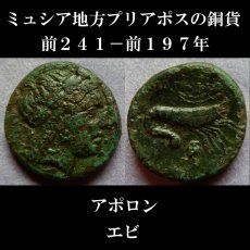 画像1: 古代ギリシャコイン　ミュシア地方　プリアポス　銅貨　前２４１－前１９７年　アポロン　エビ (1)