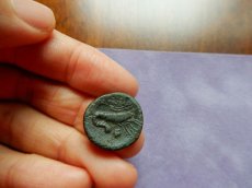 画像4: 古代ギリシャコイン　ミュシア地方　プリアポス　銅貨　前２４１－前１９７年　アポロン　エビ (4)