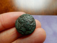 画像5: 古代ギリシャコイン　ミュシア地方　プリアポス　銅貨　前２４１－前１９７年　アポロン　エビ (5)