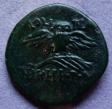 画像3: 古代ギリシャコイン　ミュシア地方　ペルガモン　前１２３－前１００年　銅貨　アテナ神　翼を広げた梟 (3)