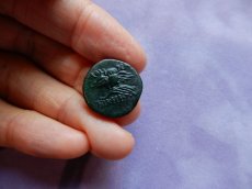 画像4: 古代ギリシャコイン　ミュシア地方　ペルガモン　前１２３－前１００年　銅貨　アテナ神　翼を広げた梟 (4)