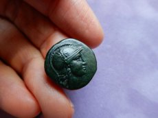画像5: 古代ギリシャコイン　ミュシア地方　ペルガモン　前１２３－前１００年　銅貨　アテナ神　翼を広げた梟 (5)