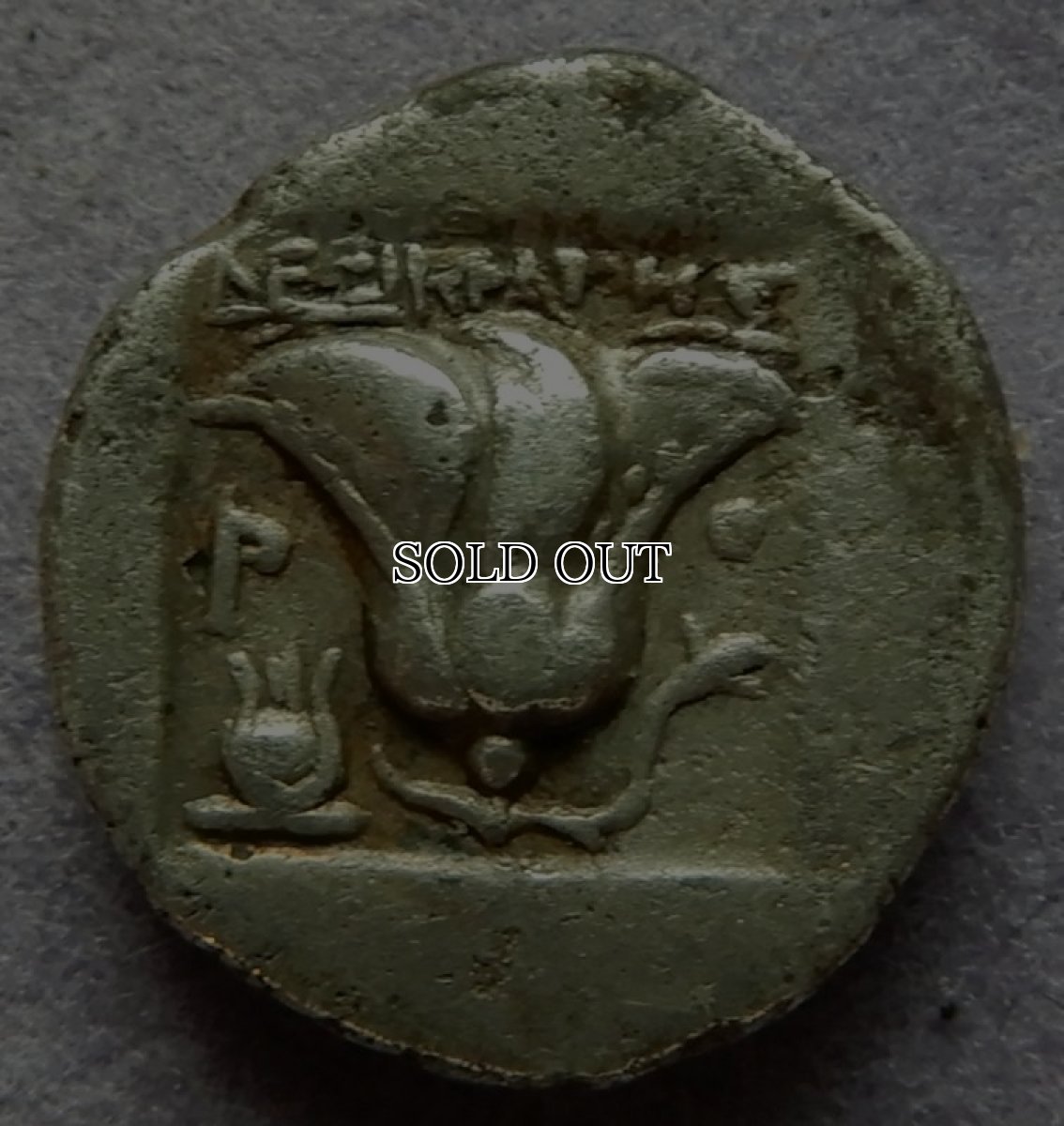 画像8: 古代ギリシャコイン(額装付き)　カリア地方　ロードス島　半ドラクマ銀貨　前１７０－前１５０年　太陽神ヘリオス　薔薇 (8)