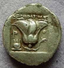画像8: 古代ギリシャコイン(額装付き)　カリア地方　ロードス島　半ドラクマ銀貨　前１７０－前１５０年　太陽神ヘリオス　薔薇 (8)