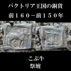 画像1: 古代ギリシャコイン　バクトリア王国　銅貨　前１６０－前１５０年　こぶ牛　祭壇 (1)