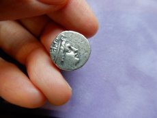 画像5: 古代ギリシャコイン　カリア地方ロードス島　ドラクマ銀貨　前１６７－前８８年　エーゲ海の薔薇の島、ロードス島のヘリオスと薔薇の銀貨  (5)