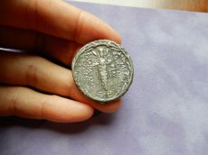 画像4: 古代ギリシャコイン　セレウコス朝シリア　デメトリオス3世　テトラドラクマ銀貨　前９５－前88年　デメトリオス3世肖像　アタルガティス (4)