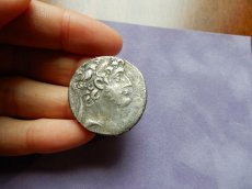画像5: 古代ギリシャコイン　セレウコス朝シリア　デメトリオス3世　テトラドラクマ銀貨　前９５－前88年　デメトリオス3世肖像　アタルガティス (5)