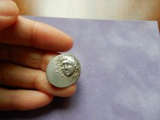 画像8: 古代ギリシャコイン(額装付き)　カリア地方　ロードス島　前８８－前４３年　ドラクマ銀貨　太陽神ヘリオス　上から見たバラの花 (8)