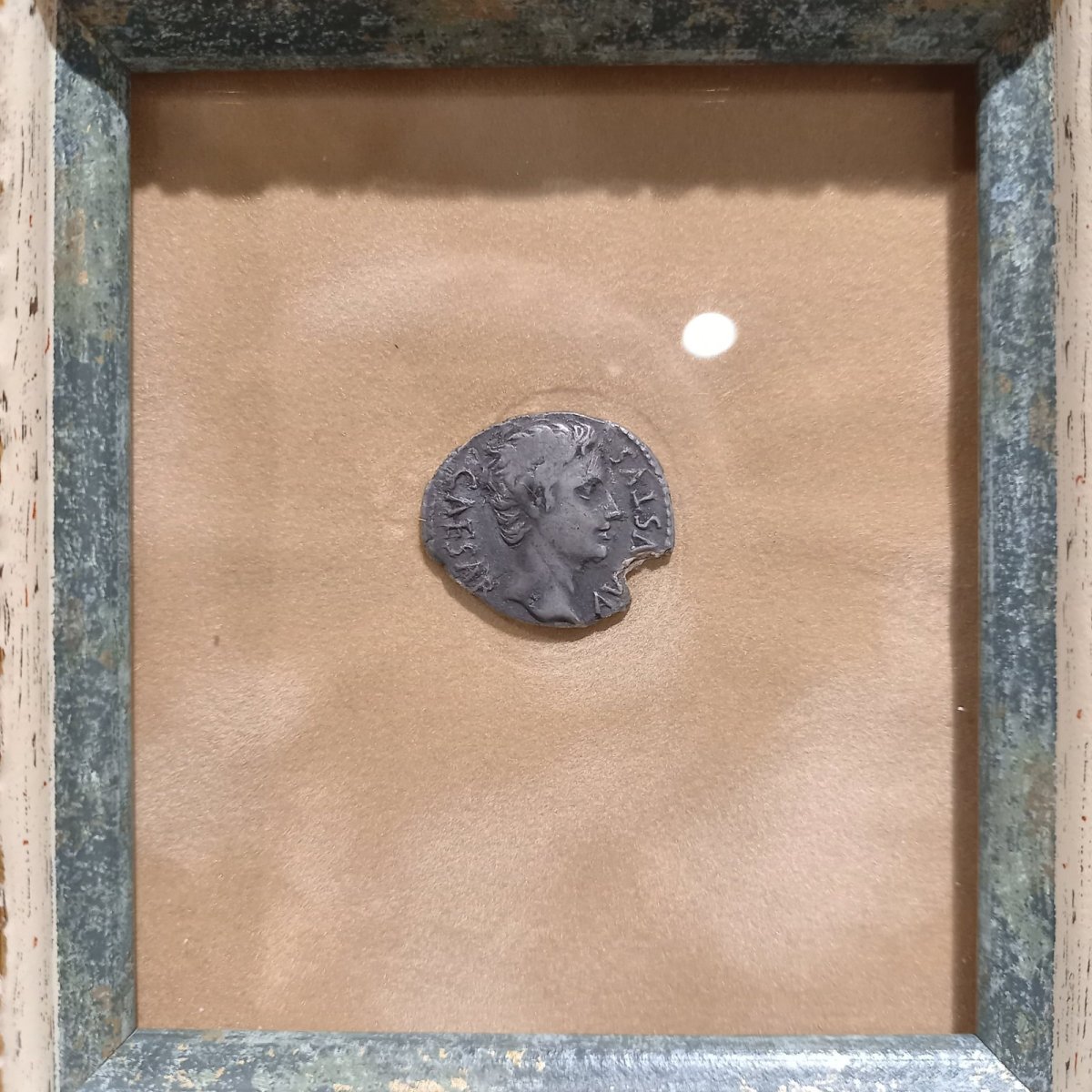 画像4: 古代ローマコイン(額付き)　帝政期　アウグストゥス　デナリウス銀貨　前１９年　アウグストゥス肖像　英雄の盾とパルティアから奪回した軍旗 (4)