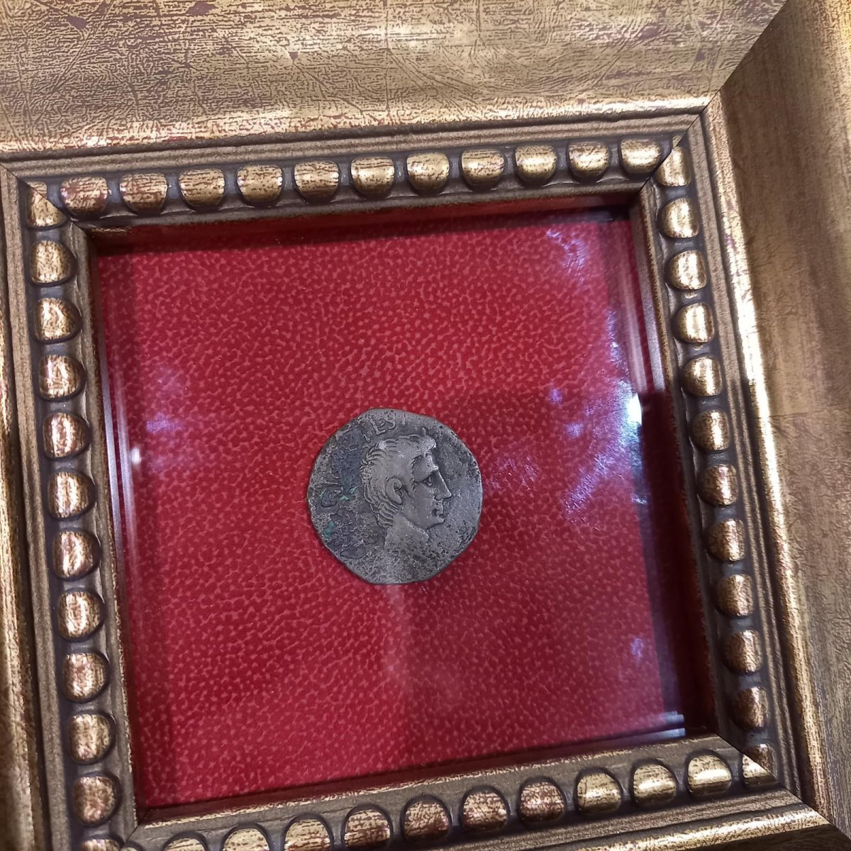 画像5: 古代ローマコイン(額付き)　帝政期　アウグストゥス　前15年　アス銅貨　アウグストゥス肖像　金・銀・銅を扱う貨幣発行３人委員の銘　アウグストゥス、ローマでの銅貨発行を再開　 (5)