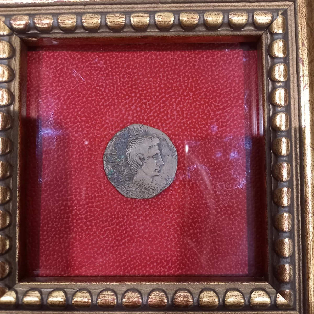 画像4: 古代ローマコイン(額付き)　帝政期　アウグストゥス　前15年　アス銅貨　アウグストゥス肖像　金・銀・銅を扱う貨幣発行３人委員の銘　アウグストゥス、ローマでの銅貨発行を再開　 (4)