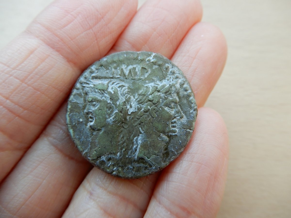 画像5: ローマコイン　属州貨(ガリア・ネマウスス)　前16-前10年　アス銅貨　アウグストゥスとアグリッパ　　ニームのシンボル、ワニ (5)