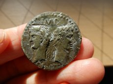 画像1: ローマコイン　属州貨(ガリア・ネマウスス)　前16-前10年　アス銅貨　アウグストゥスとアグリッパ　　ニームのシンボル、ワニ (1)