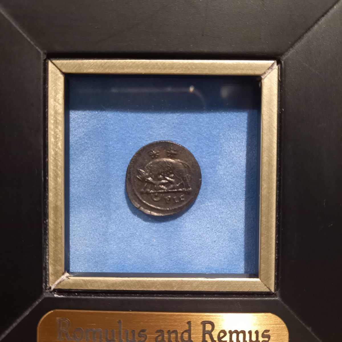 画像8: 古代ローマコイン(額付き)　帝政期　コンスタンティヌス　331年　銅貨　ローマ神肖像　ロムルスとレムス (8)