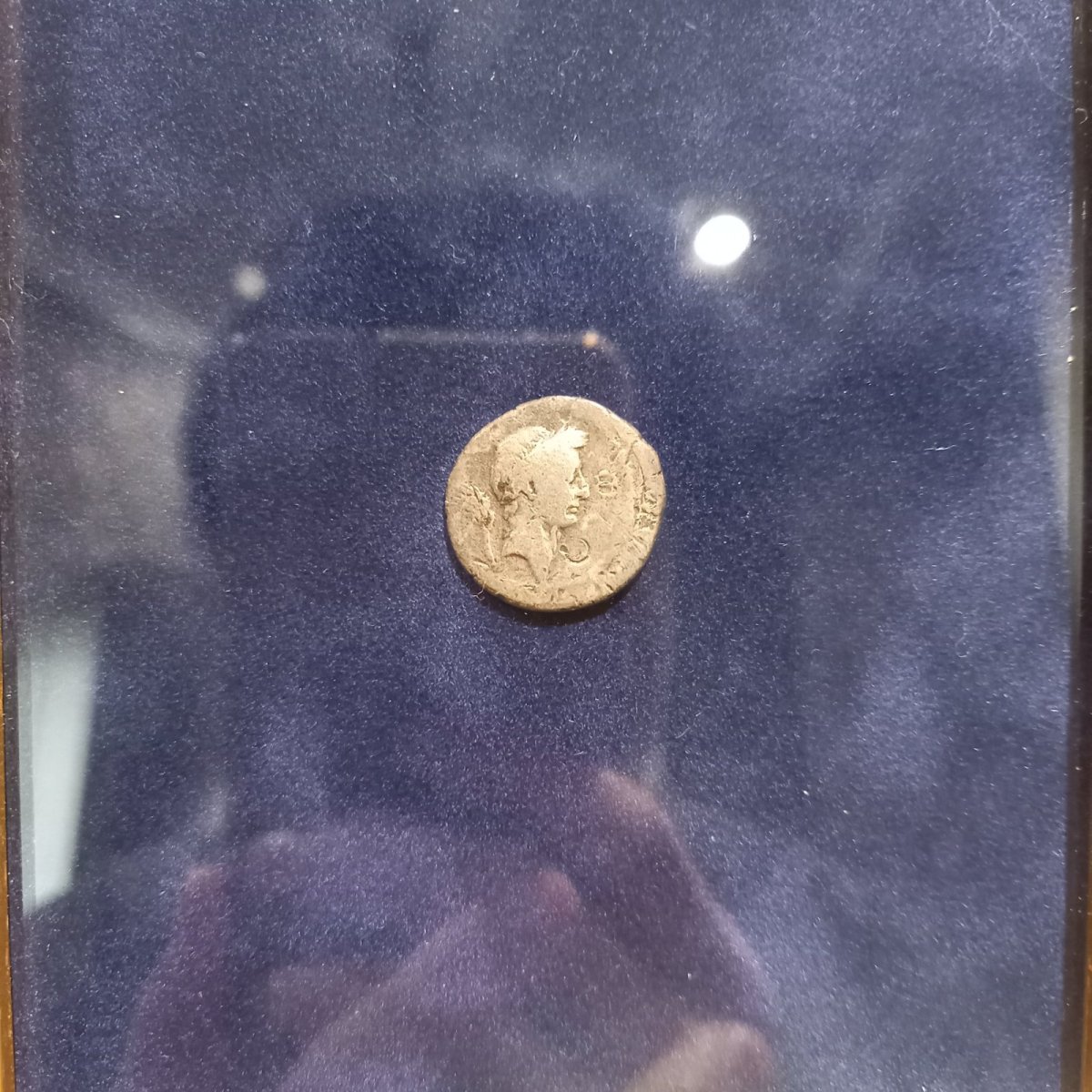 画像4: 古代ローマコイン(額装付き)　ユリウス・カエサル　前４２年　デナリウス銀貨　ユリウス・カエサル肖像　牛　神格化されたユリウス・カエサルのデナリウス銀貨 (4)