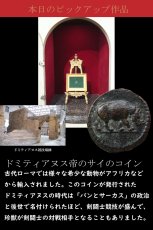 画像5: 古代ローマコイン　(額装付き)　帝政期　ドミティアヌス　クアドランス銅貨　83年以降　「パンとサーカス」を象徴するサイのコイン (5)