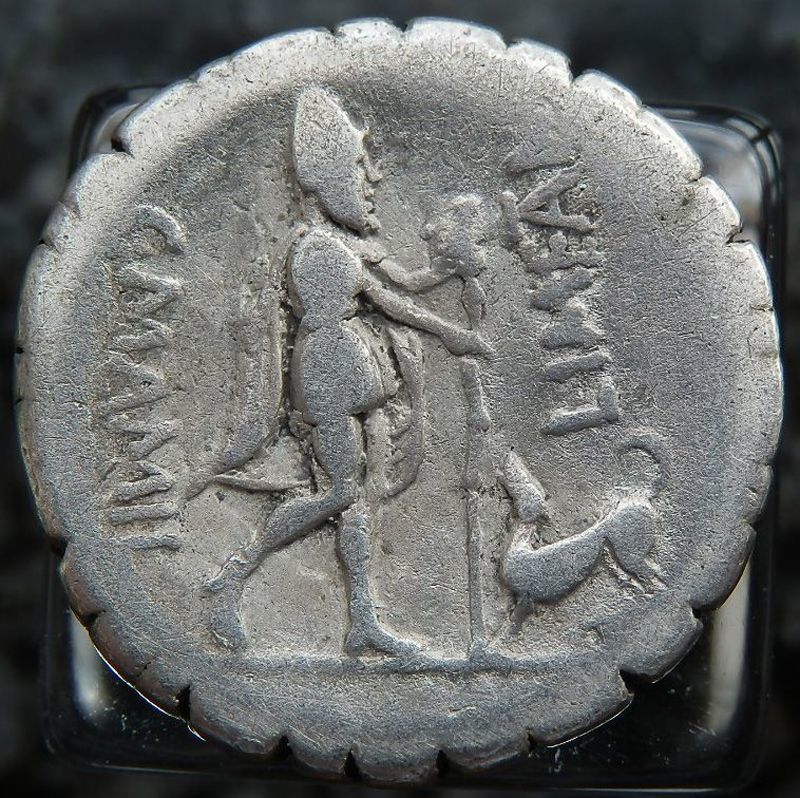 犬のコインを特集