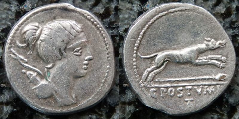 犬のコインを特集