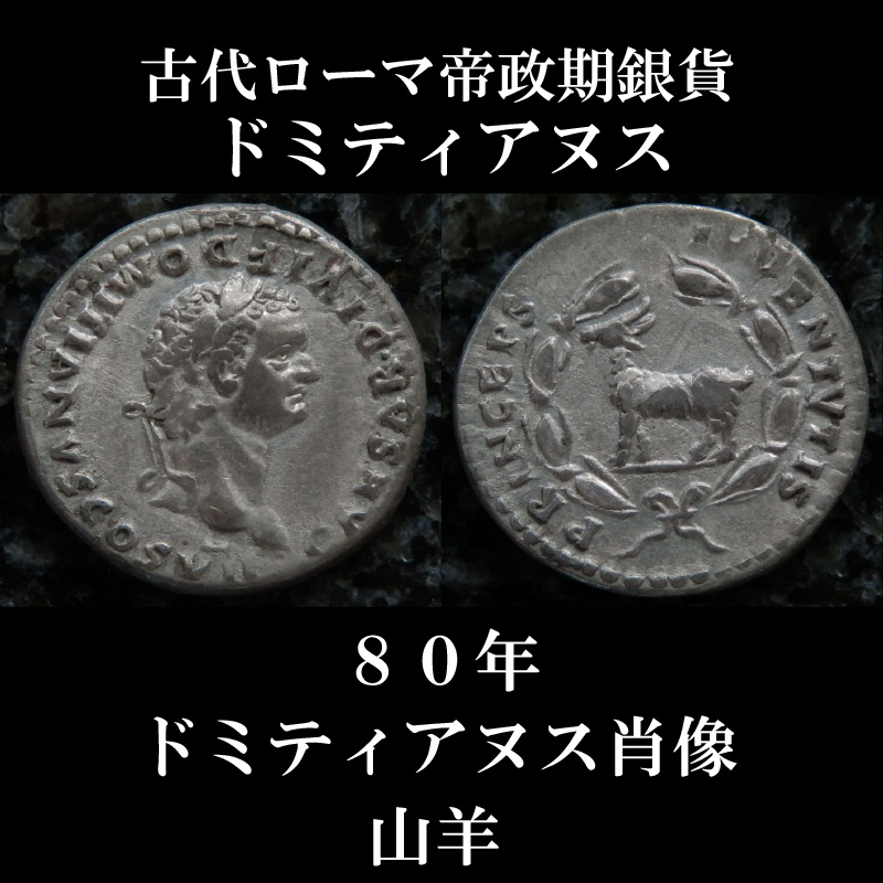 古代ローマコイン 帝政期 ドミティアヌス 80年 デナリウス銀貨 ドミティアヌスの肖像 ヤギと月桂冠 古代ローマコイン 帝政期 ドミティアヌス 80年 デナリウス銀貨 ドミティアヌスの肖像 ヤギと月桂冠