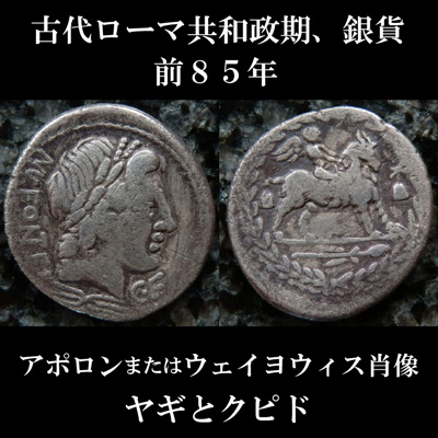 古代ローマコイン　共和政期　マニウス・フォンテイウス　前８５年　デナリウス銀貨　アポロンまたはウェイヨウィス肖像　ヤギとクピド