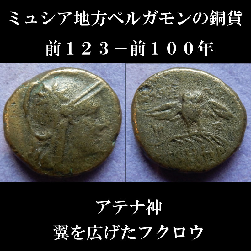 画像1: 古代ギリシャコイン　ミュシア地方　ペルガモン　前１２３－前１００年　銅貨　アテナ神　翼を広げた梟 (1)